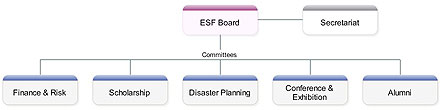 org chart